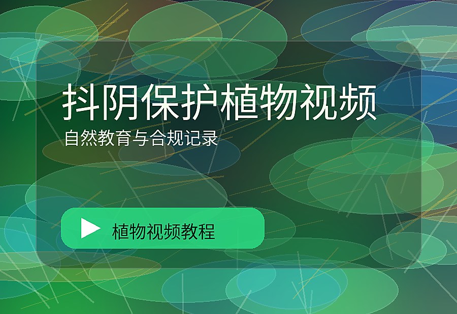 麻朵花园