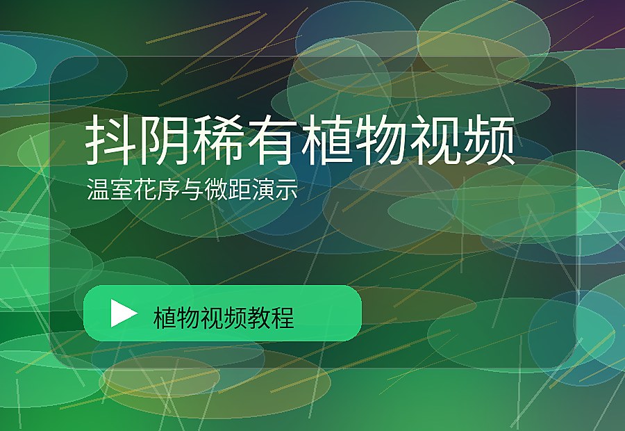 麻朵花园