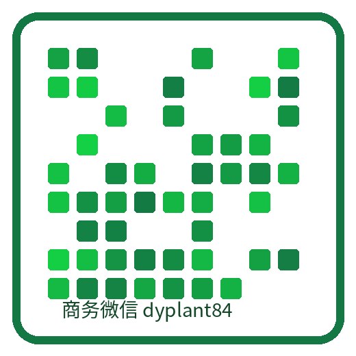 麻朵花园
